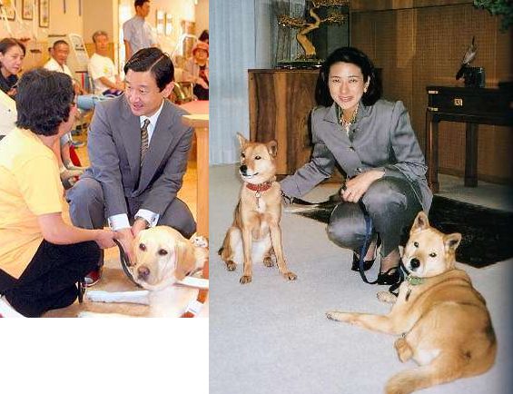 皇室全般画像掲示板 徳仁家の犬 皇室ブログ でれでれ草